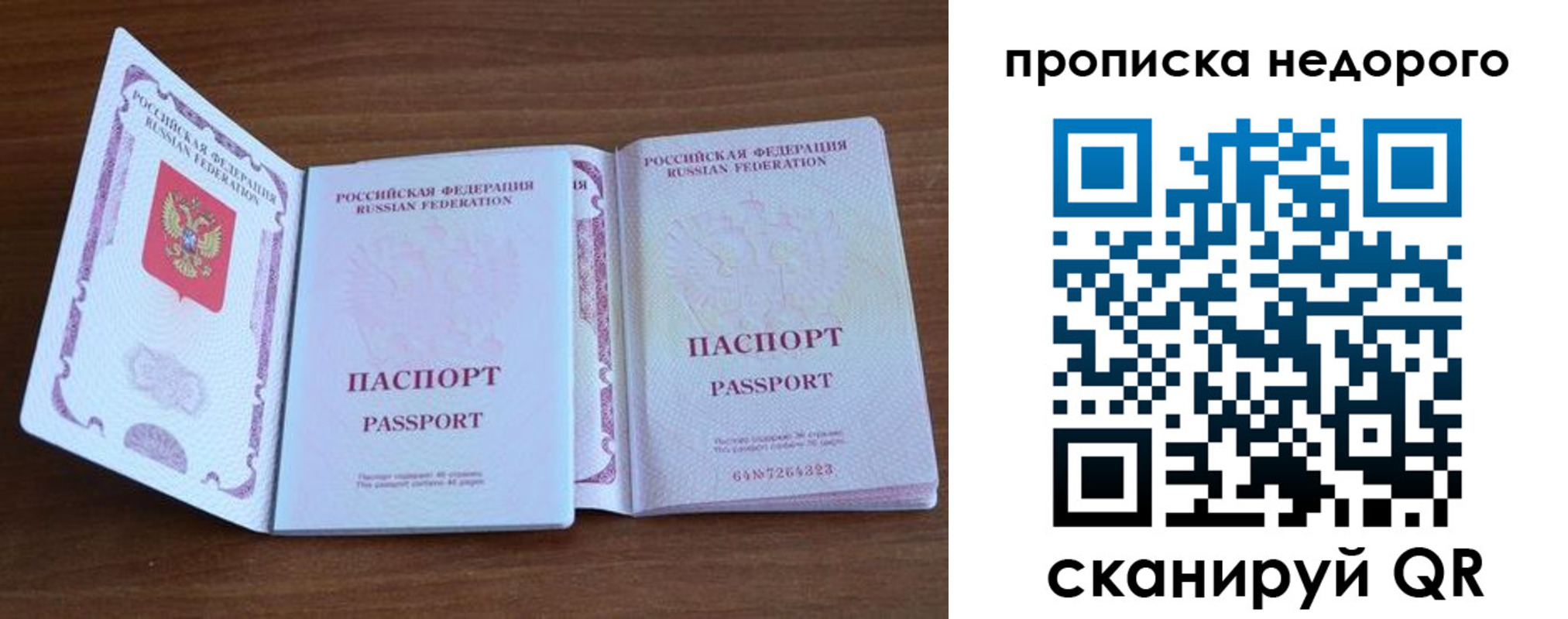 регистрация в Кингисеппе